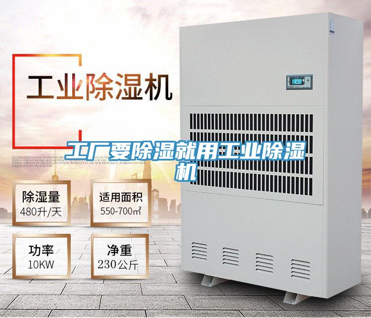 工廠要除濕就用工業草莓污视频在线看