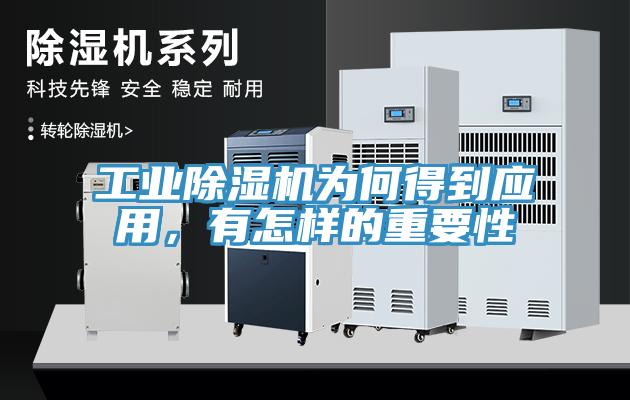 工業草莓污视频在线看為何得到應用，有怎樣的重要性