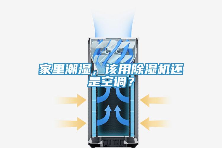 家裏潮濕，該用草莓污视频在线看還是空調？