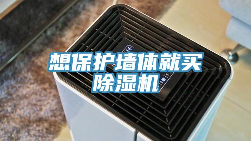 想保護牆體就買草莓污视频在线看