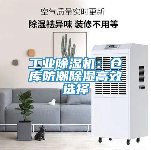 工業草莓污视频在线看：倉庫防潮除濕高效選擇