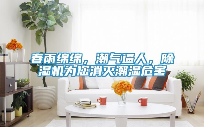 春雨綿綿，潮氣逼人，草莓污视频在线看為您消滅潮濕危害
