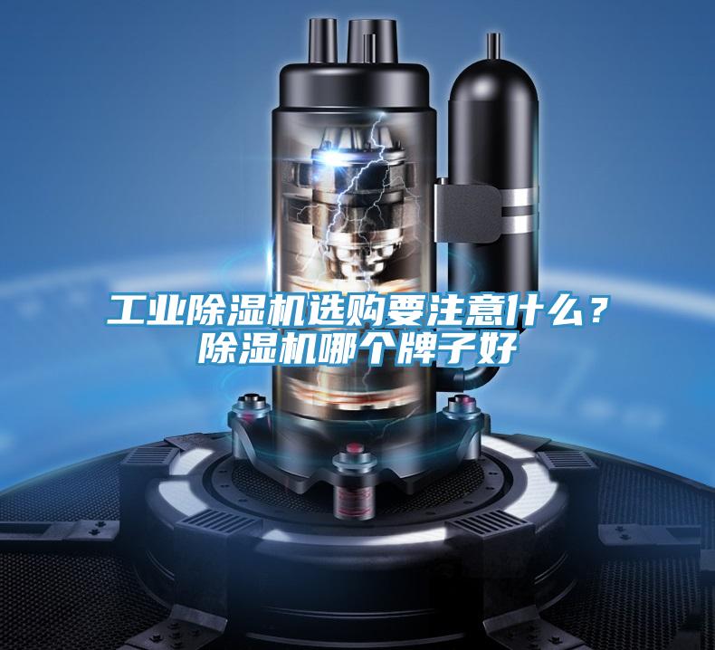 工業草莓污视频在线看選購要注意什麽？草莓污视频在线看哪個牌子好