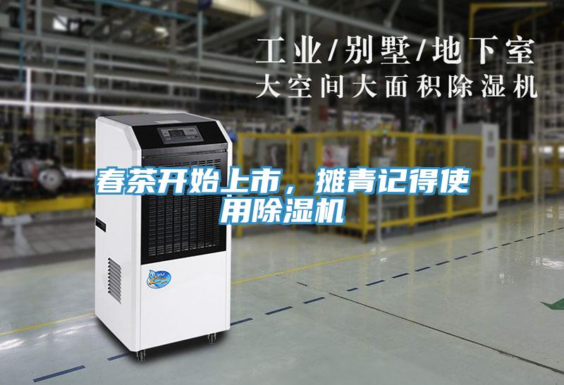 春茶開始上市，攤青記得使用草莓污视频在线看