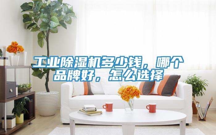 工業草莓污视频在线看多少錢，哪個品牌好，怎麽選擇