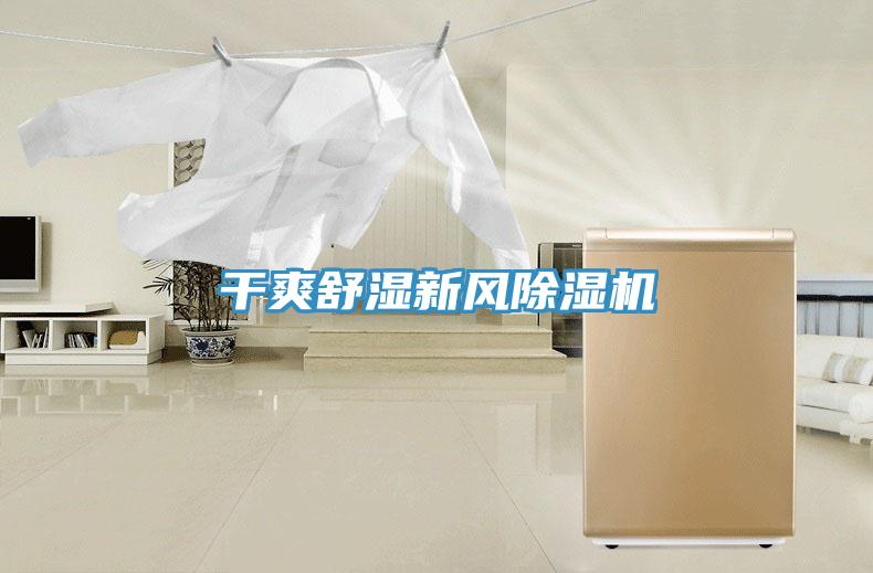 幹爽舒濕新風草莓污视频在线看
