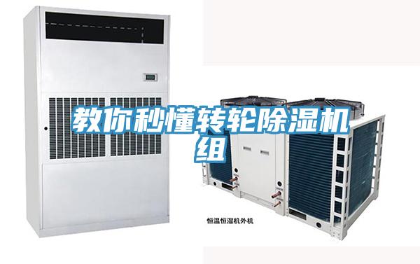 教你秒懂轉輪草莓污视频在线看組