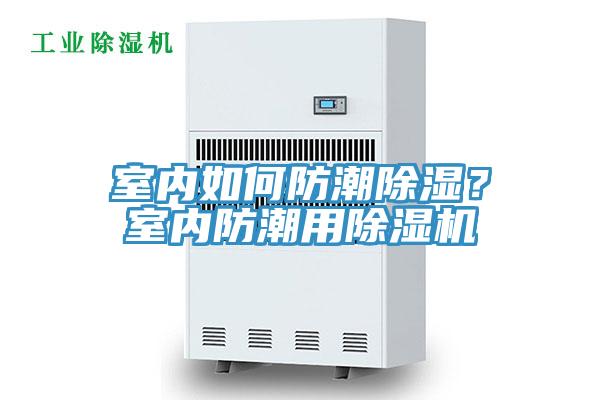 室內如何防潮除濕？室內防潮用草莓污视频在线看
