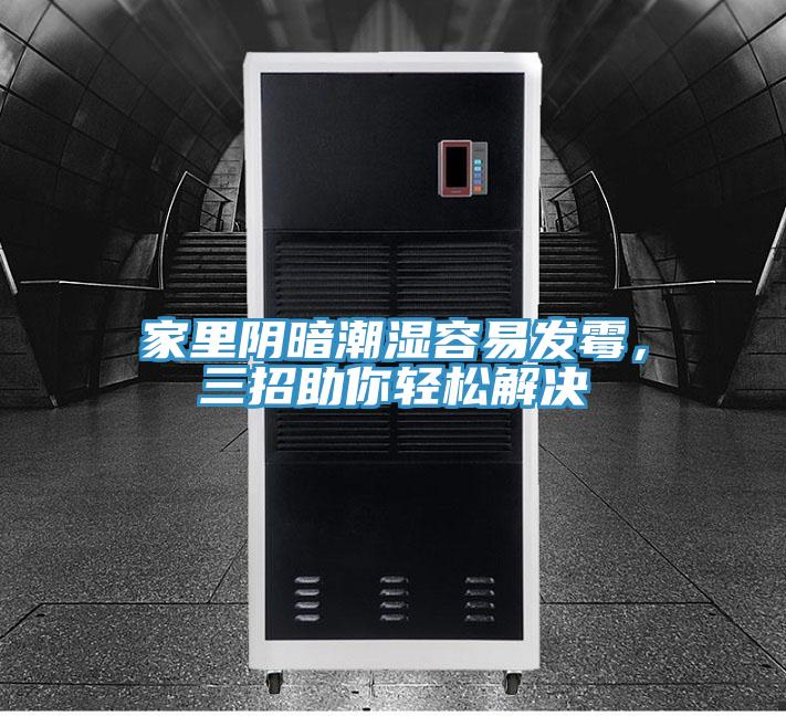 家裏陰暗潮濕容易發黴，三招助你輕鬆解決