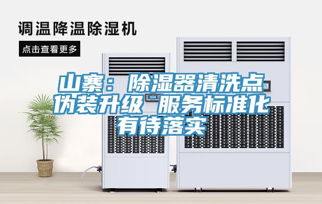山寨：除濕器清洗點偽裝升級 服務標準化有待落實