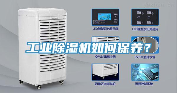 工業草莓污视频在线看如何保養？