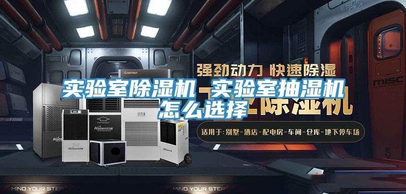 實驗室草莓污视频在线看 實驗室抽濕機怎麽選擇