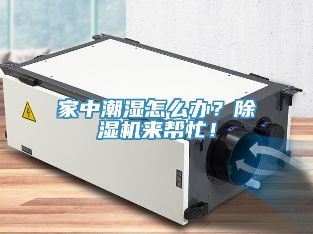 家中潮濕怎麽辦？草莓污视频在线看來幫忙！
