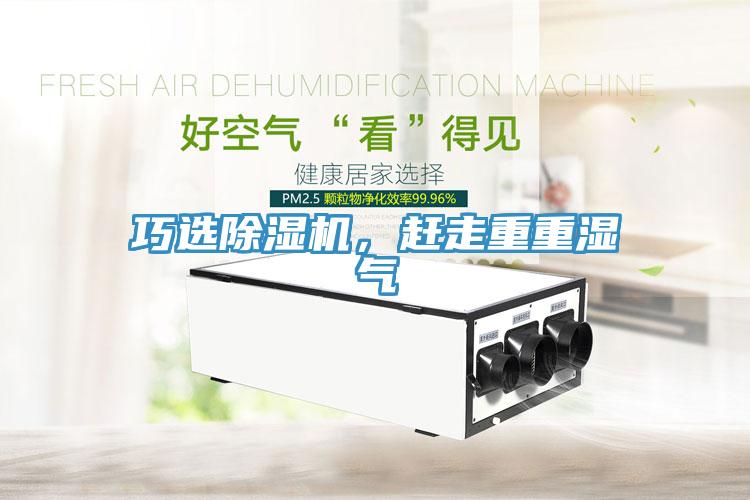 巧選草莓污视频在线看，趕走重重濕氣