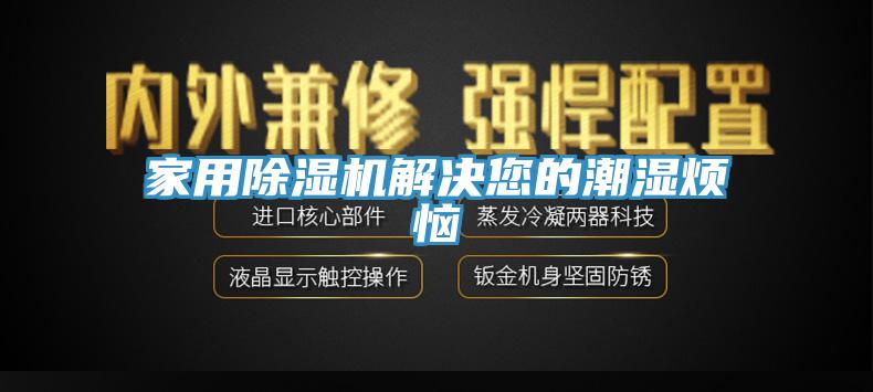 家用草莓污视频在线看解決您的潮濕煩惱