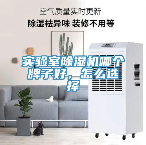 實驗室草莓污视频在线看哪個牌子好，怎麽選擇