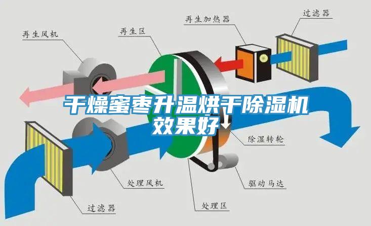 幹燥蜜棗升溫烘幹草莓污视频在线看效果好