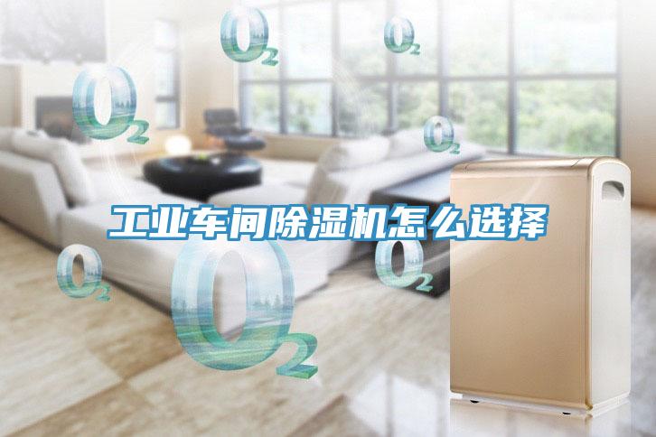 工業車間草莓污视频在线看怎麽選擇