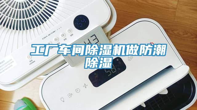 工廠車間草莓污视频在线看做防潮除濕