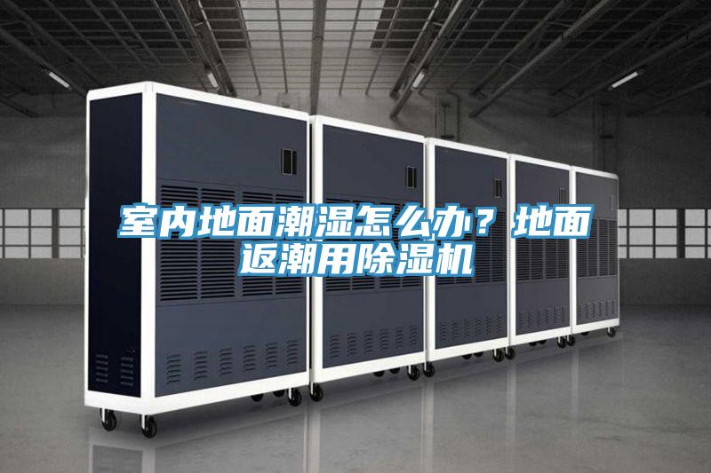 室內地麵潮濕怎麽辦？地麵返潮用草莓污视频在线看
