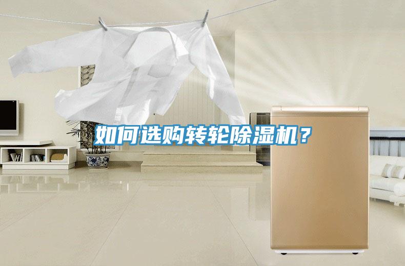 如何選購轉輪草莓污视频在线看？