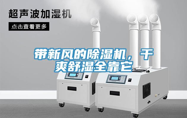 帶新風的草莓污视频在线看，幹爽舒濕全靠它