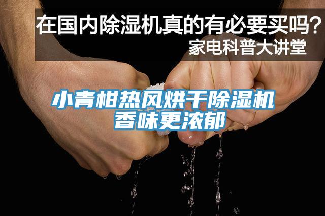 小青柑熱風烘幹草莓污视频在线看 香味更濃鬱