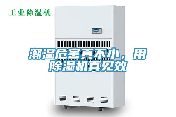 潮濕危害真不小，用草莓污视频在线看真見效
