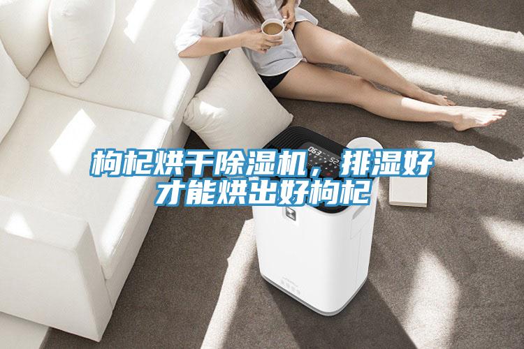 枸杞烘幹草莓污视频在线看，排濕好才能烘出好枸杞