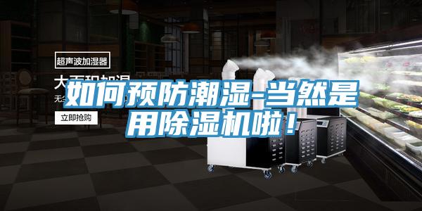 如何預防潮濕-當然是用草莓污视频在线看啦！