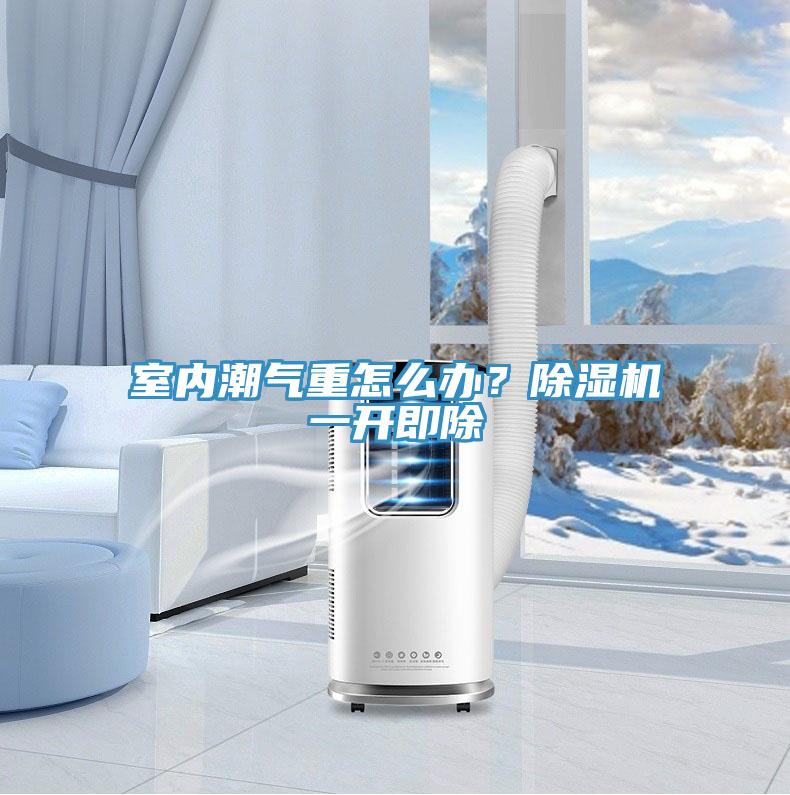 室內潮氣重怎麽辦？草莓污视频在线看一開即除