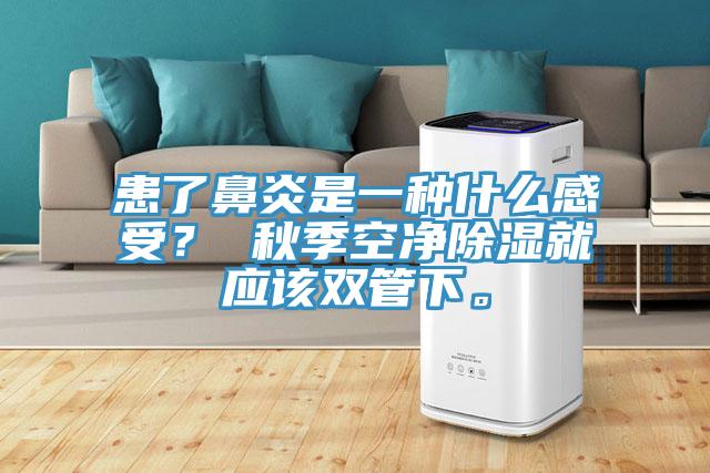 患了鼻炎是一種什麽感受？ 秋季空淨除濕就應該雙管下。