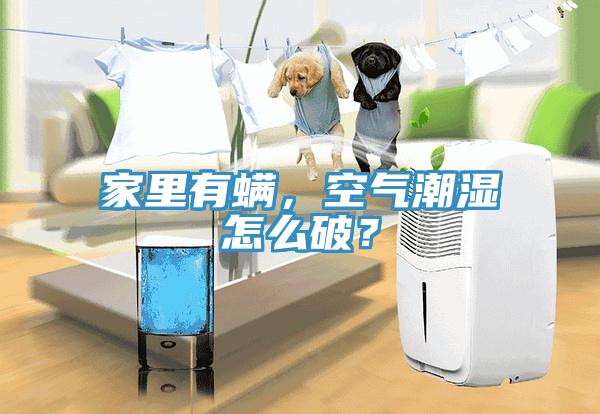 家裏有蟎，空氣潮濕怎麽破？