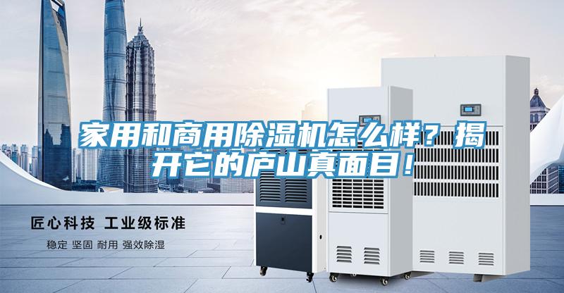 家用和商用草莓污视频在线看怎麽樣？揭開它的廬山真麵目！