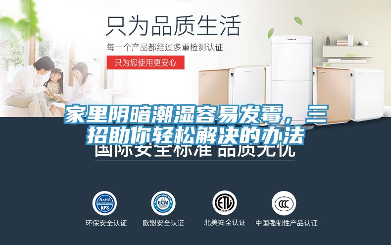 家裏陰暗潮濕容易發黴，三招助你輕鬆解決的辦法