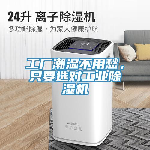 工廠潮濕不用愁，隻要選對工業草莓污视频在线看