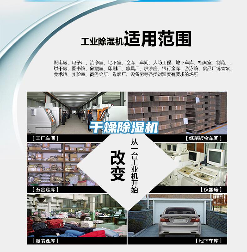幹燥草莓污视频在线看