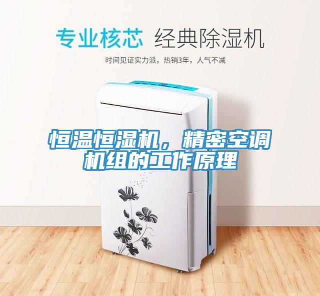 恒溫恒濕機，精密空調機組的工作原理