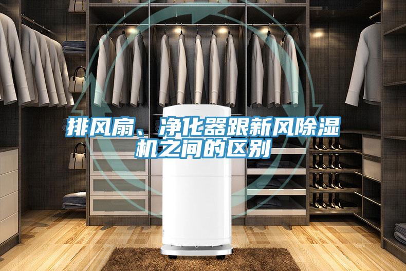 排風扇、淨化器跟新風草莓污视频在线看之間的區別