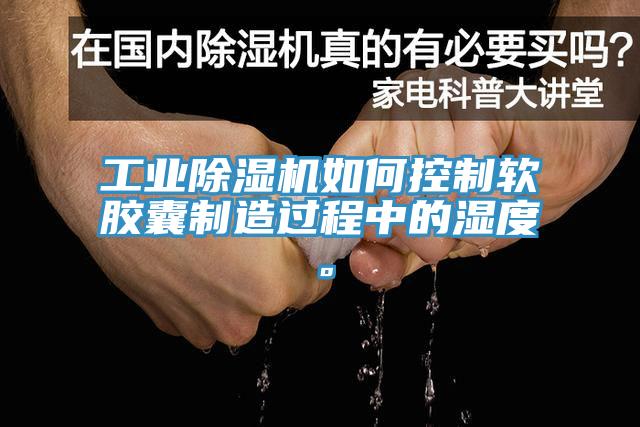 工業草莓污视频在线看如何控製軟膠囊製造過程中的濕度。