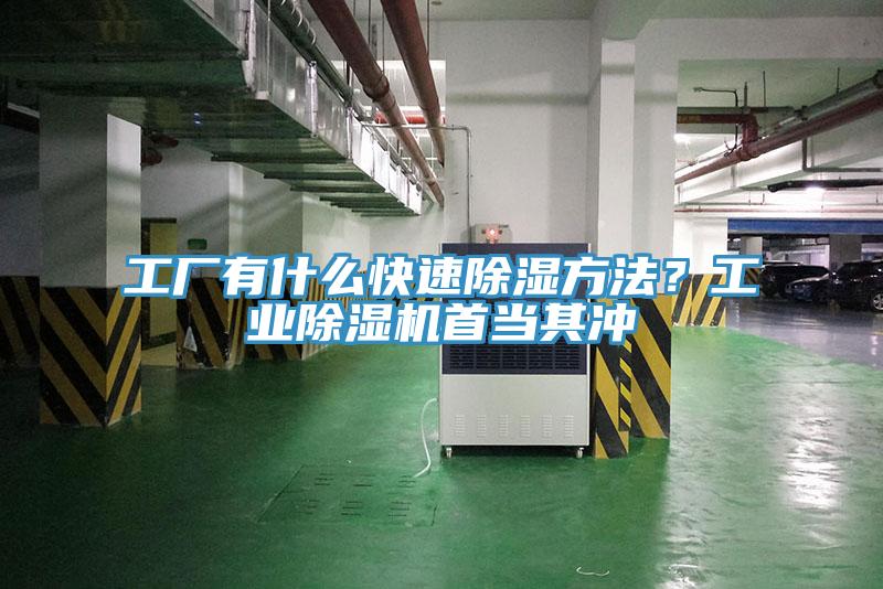 工廠有什麽快速除濕方法？工業草莓污视频在线看首當其衝