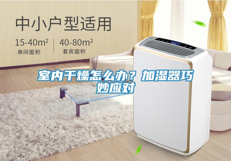 室內幹燥怎麽辦？加濕器巧妙應對