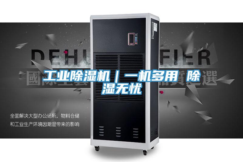 工業草莓污视频在线看｜一機多用 除濕無憂