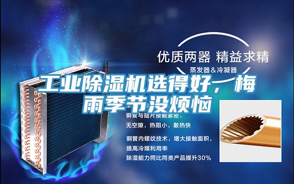 工業草莓污视频在线看選得好，梅雨季節沒煩惱