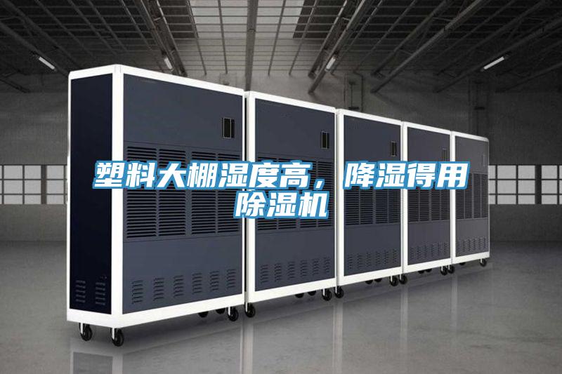 塑料大棚濕度高，降濕得用草莓污视频在线看
