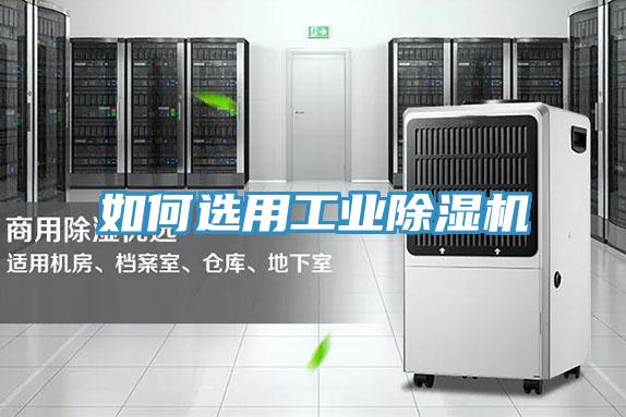 如何選用工業草莓污视频在线看