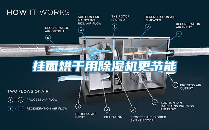 掛麵烘幹用草莓污视频在线看更節能