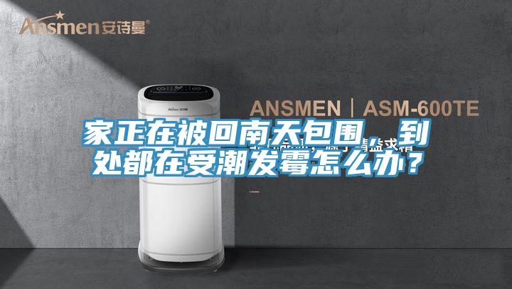 家正在被回南天包圍，到處都在受潮發黴怎麽辦？