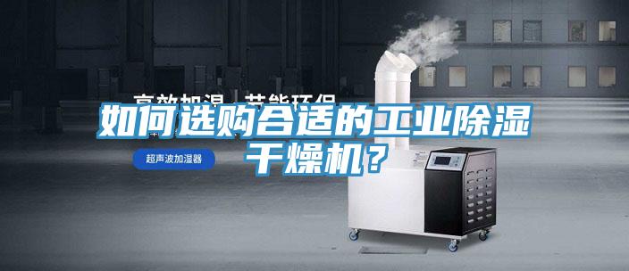 如何選購合適的工業除濕幹燥機？