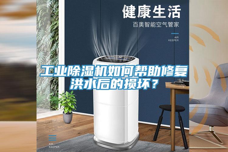 工業草莓污视频在线看如何幫助修複洪水後的損壞？